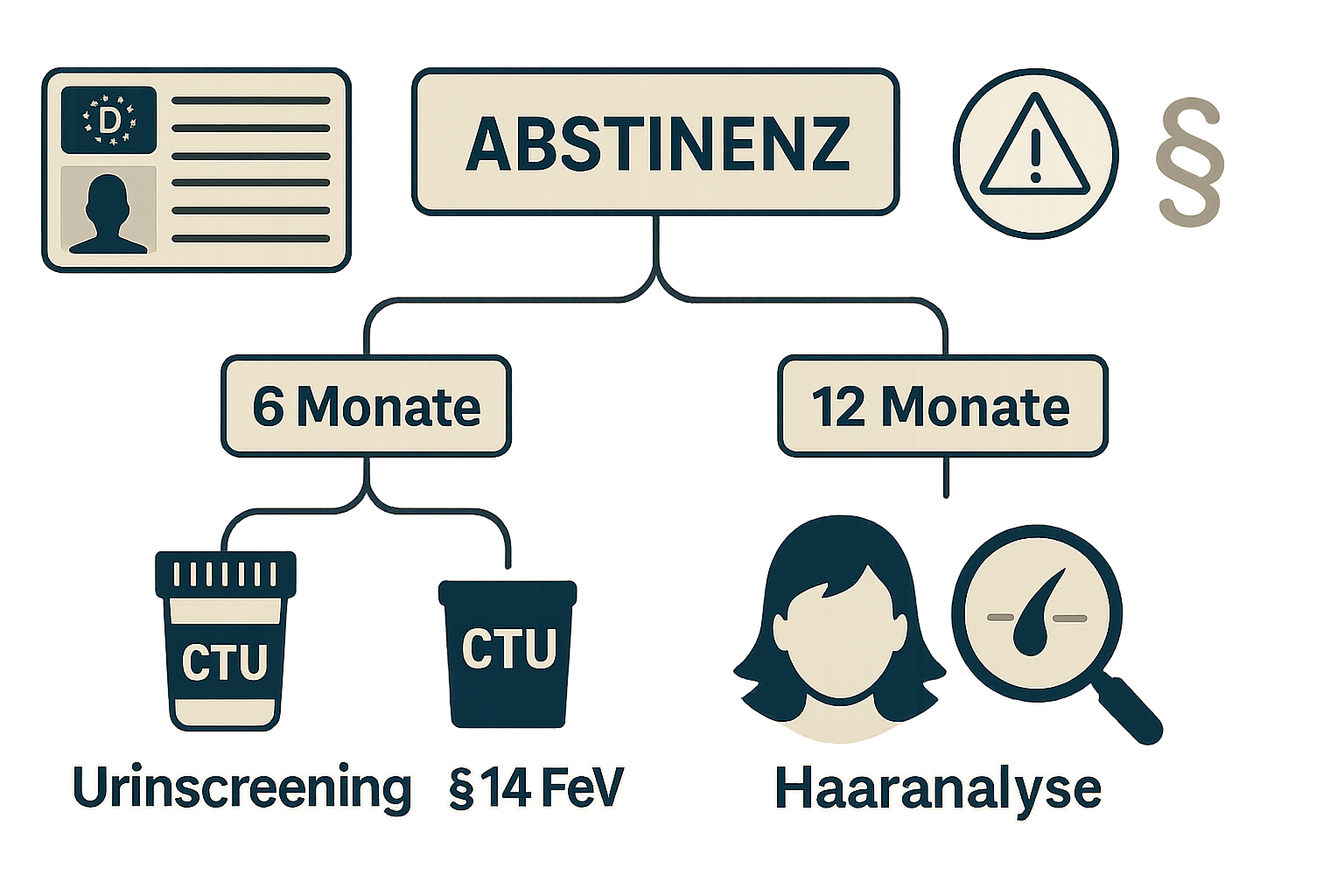 Schaubild zu Abstinenznachweisen mit Urinscreening und Haaranalyse, markiert mit 6 bzw. 12 Monaten und § 14 FeV.